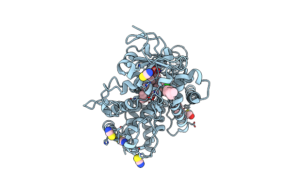 3IBD image