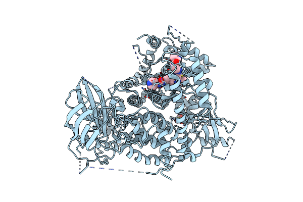 3IBE image