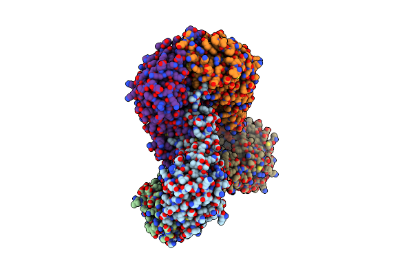 3IBG image