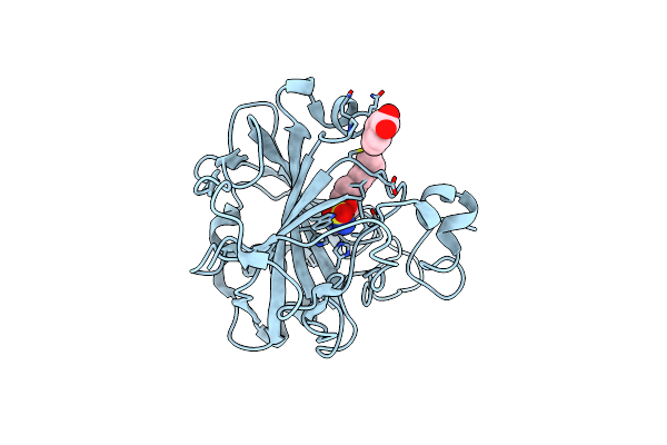 3IBI image