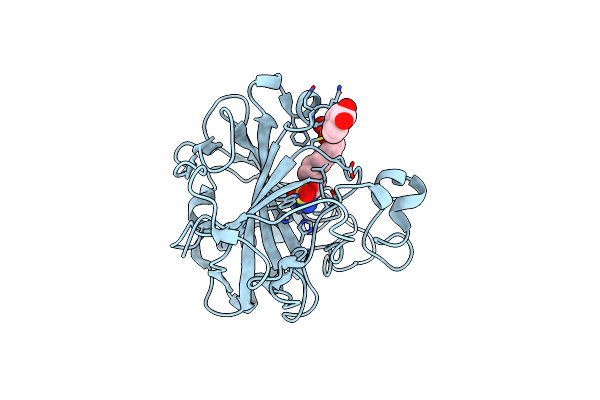 3IBL image