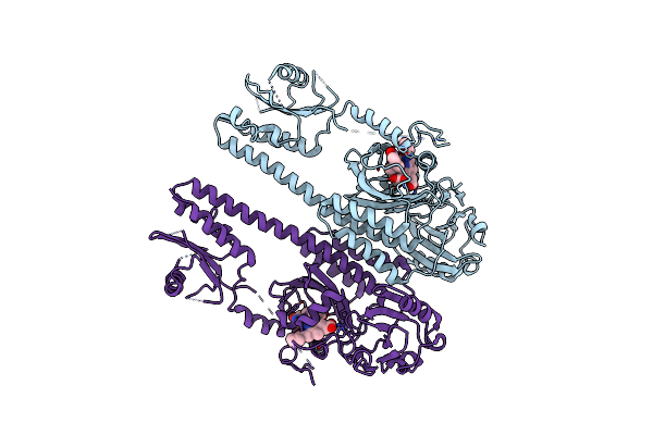 3IBR image