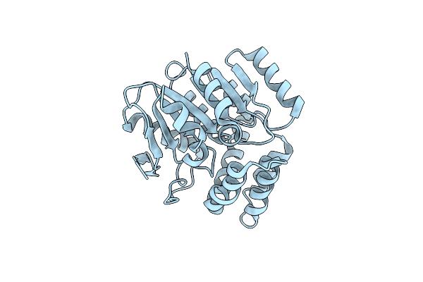3IBT image