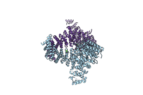 3IBV image