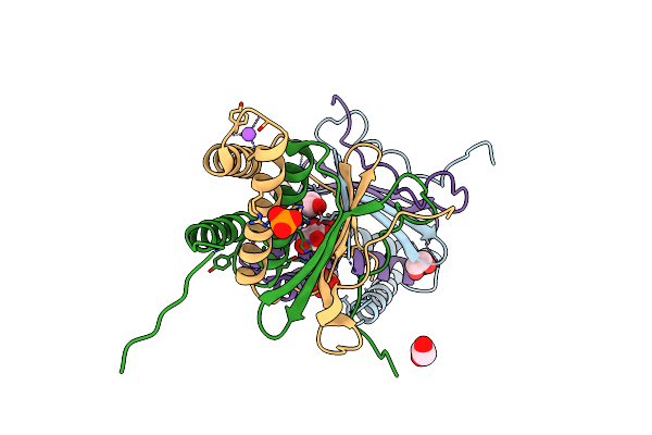 3IC3 image