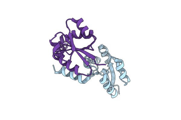 3IC5 image