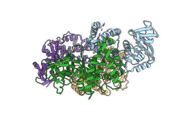 3IC8 image