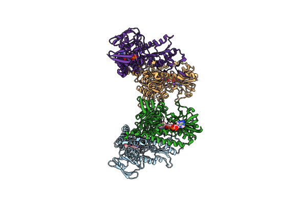 3IC9 image