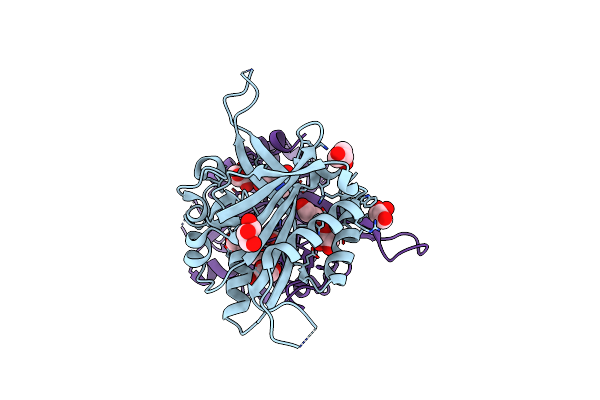 3ICA image