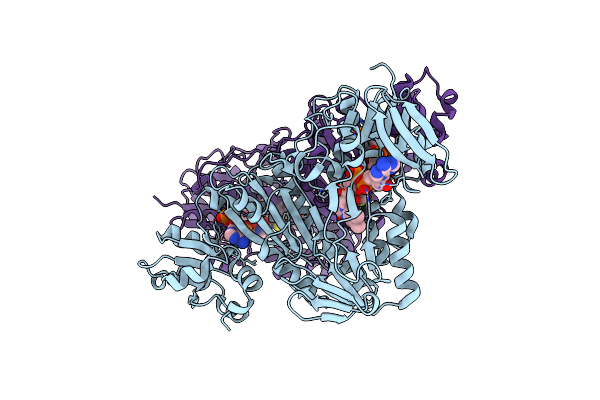 3ICR image
