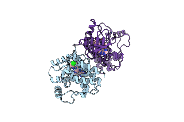 3IDP image