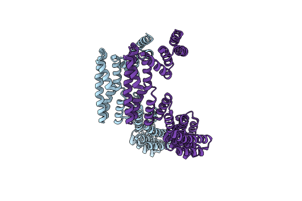 3IEG image