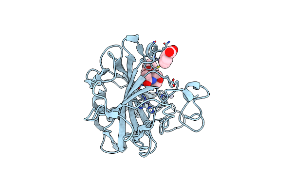 3IEO image