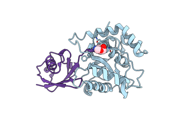 3IFW image