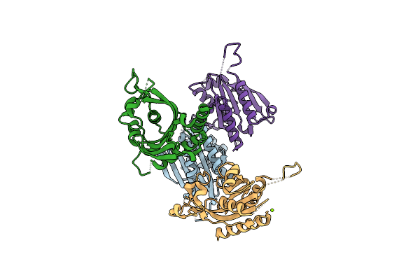 3IG2 image