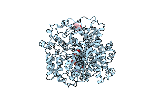3IG8 image
