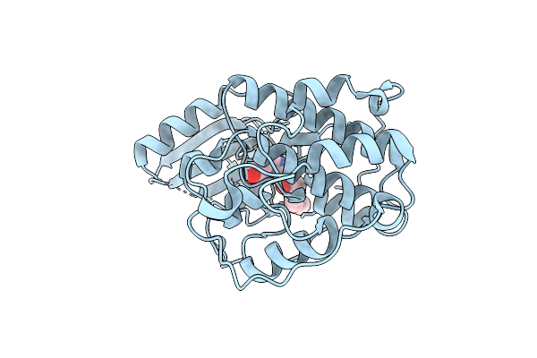 3IGG image