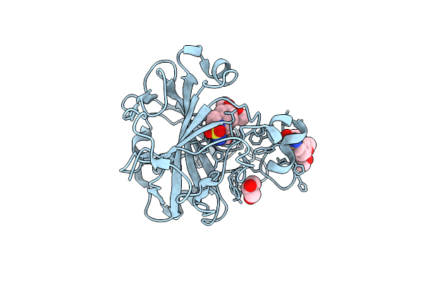 3IGP image