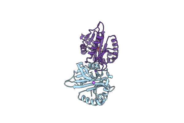 3IGR image