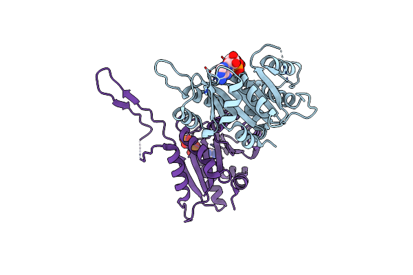 3IHL image