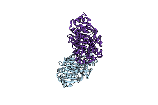 3IHM image