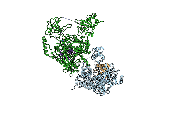 3IHP image