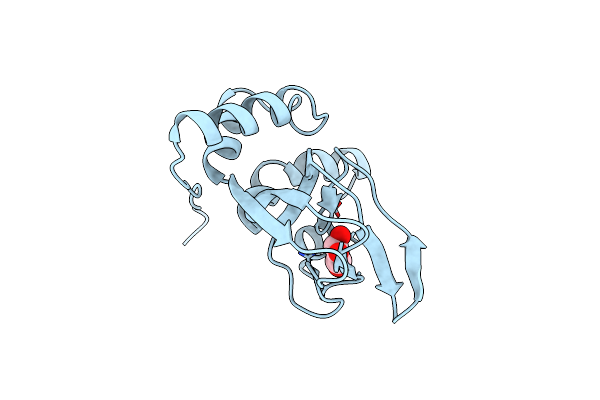 3IIA image