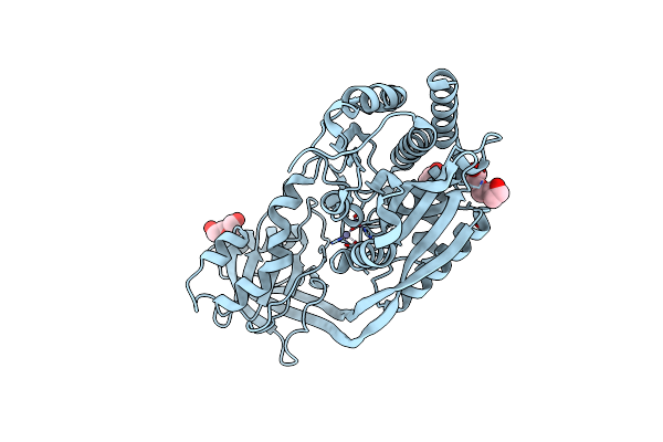 3IIB image