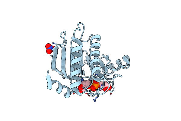 3IID image