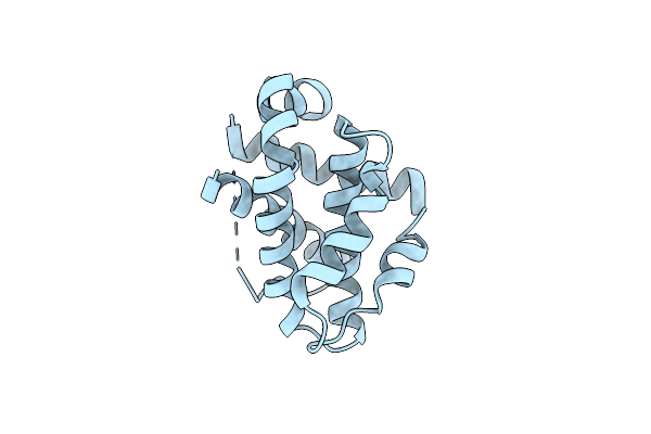 3IIG image