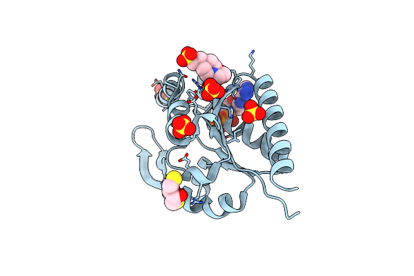 3IIM image