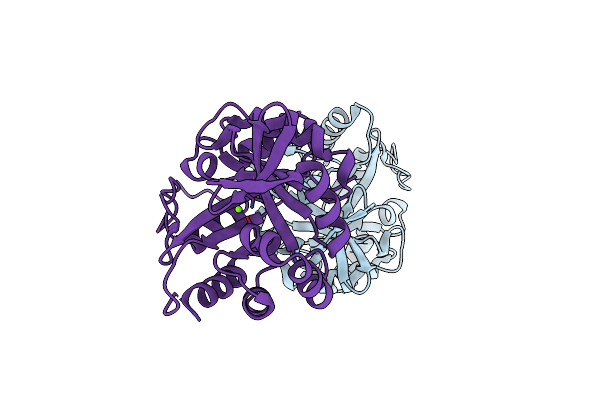 3IIV image