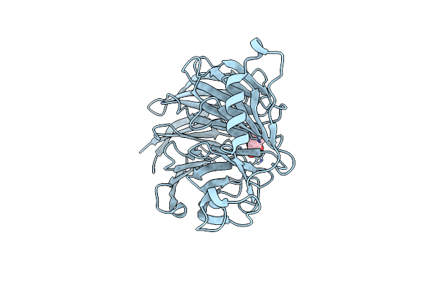 3IJC image