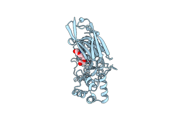 3IM2 image