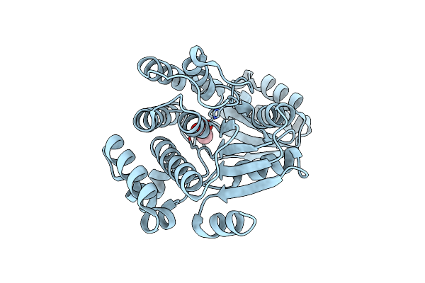 3IM8 image