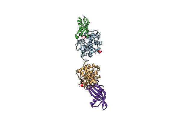 3IMA image