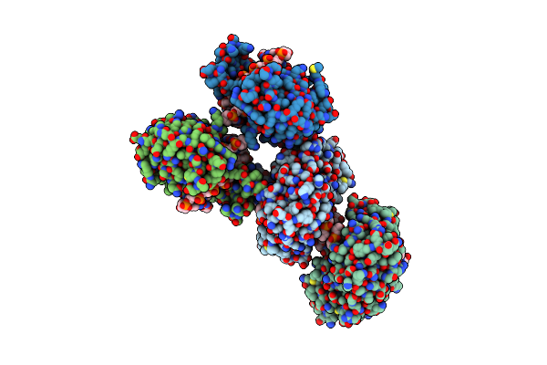 3IMB image