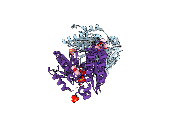 3IMC image
