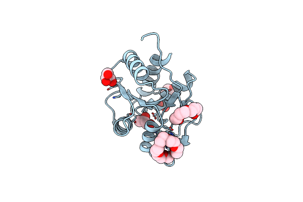 3IMK image