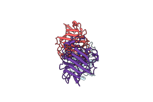 3IMM image