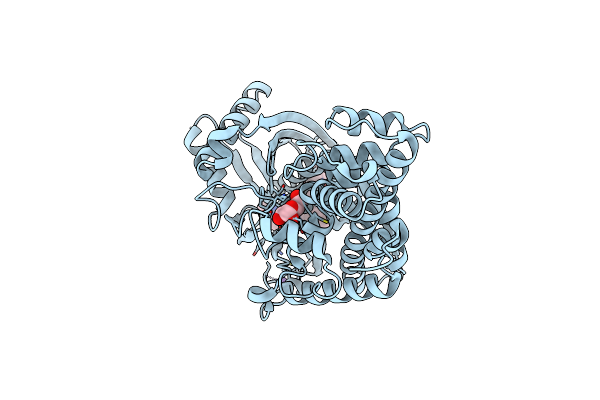 3IMX image