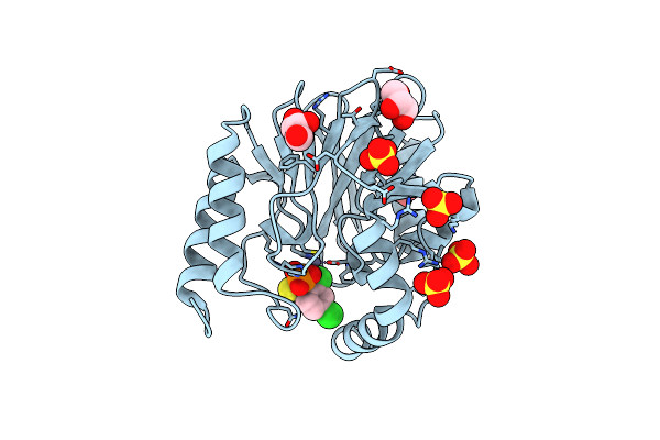 3IOG image