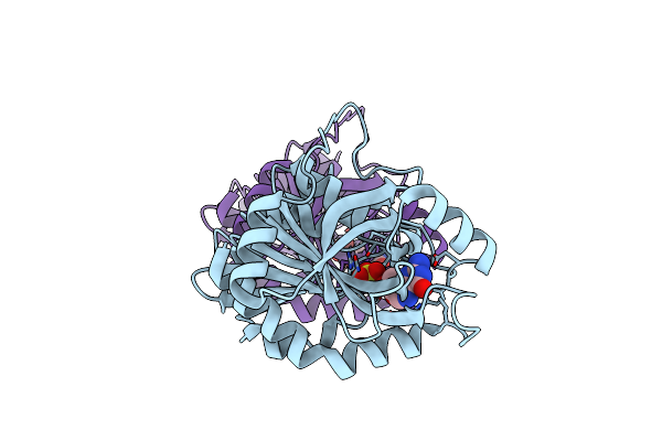 3IOM image