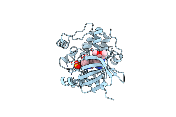 3ION image