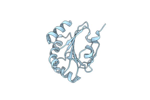 3IOS image