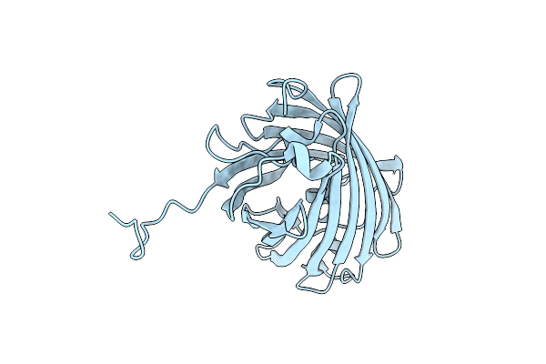 3IP2 image