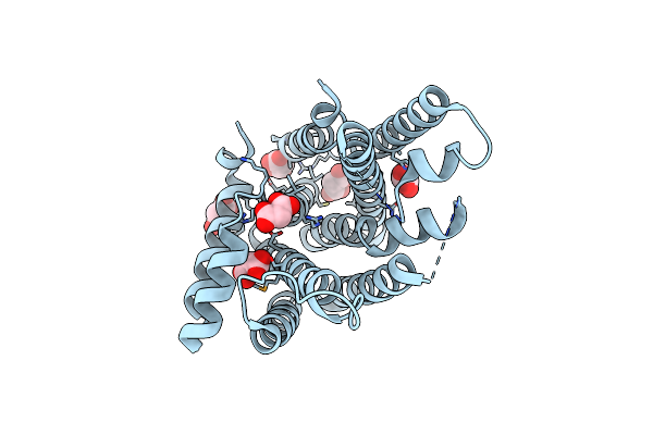 3IPI image