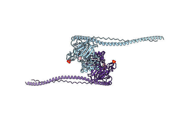 3IPK image