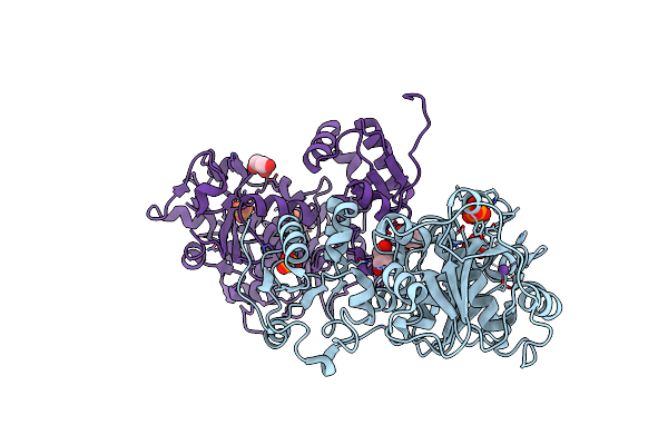 3IPP image