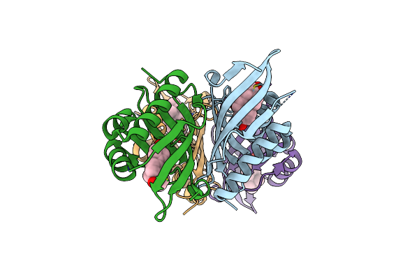 3IPT image
